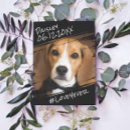 Search for dog pet sympathy cards Keepsake