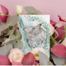 Search for koala baby postcards Animal