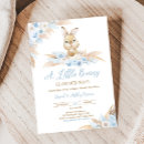 Search for easter bunny invitations Boy
