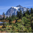 Search for mount baker posters Pacific northwest