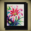 Search for stargazer lily posters Pink