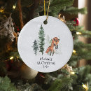 Search for baby fox christmas tree decorations Winter