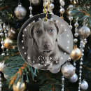 Search for cat photo christmas tree decorations Paw