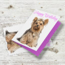 Search for yorkie birthday cards Yorkshire terrier