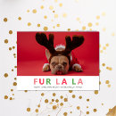 Search for lover christmas cards Pet