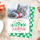 Search for cat christmas cards Pet photo