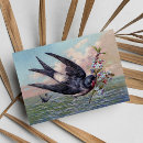 Search for swallows cards Cute