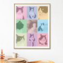 Search for pop of colour posters For pets