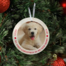 Search for new dog christmas tree decorations Cute