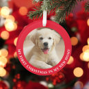 Search for rescue christmas tree decorations Dog