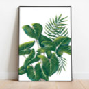 Search for tropical leaves posters Monstera