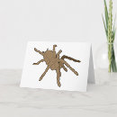 Search for tarantula cards Spider