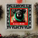 Search for pet photo christmas tree decorations Red