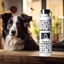 Search for dog water bottles Cat