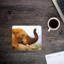 Search for wildlife mousepads Africa