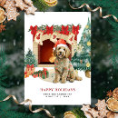 Search for goldendoodle christmas cards Cute