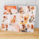 Search for new year personal stationery Pet