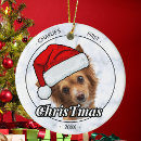 Search for new dog christmas tree decorations Dogs
