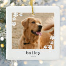 Search for paws christmas tree decorations Modern