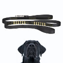 Search for puppy dog leashes black