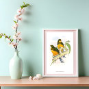 Search for ornithologist posters Vintage