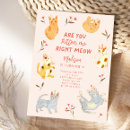Search for cat birthday invitations Are you kitten me