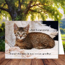 Search for cat sympathy cards Bereavement