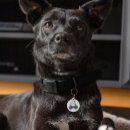 Search for gifts Watercolor