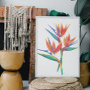 Search for tropical bird posters Exotic