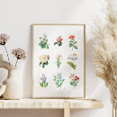 Search for floral botanical posters illustration