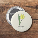 Search for spring daffodils badges Botanical
