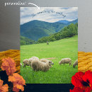 Search for of sheep postcards Shepherd