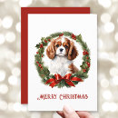Search for cavalier king charles spaniel christmas cards Blenheim