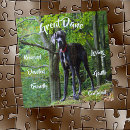 Search for great dane puzzles Dog
