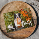 Search for pet halloween cards Funny