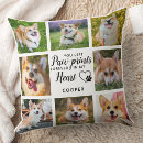 Search for pet loss cushions Photo collage