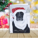 Search for black santa cards Black labrador retriever