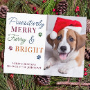 Search for furry and bright christmas cards Puppy
