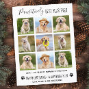 Search for dog postcards Funny