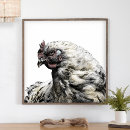 Search for rooster and chicks posters Chickens