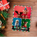 Search for dog puns seasonal cards Funny