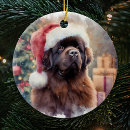 Search for newfoundland dog christmas tree decorations Cute