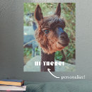 Search for alpaca posters Smile