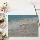 Search for wading bird Tropical