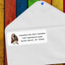 Search for basset return address labels Hound