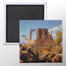 Search for desert scene Southwest