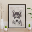 Search for siberian husky posters White