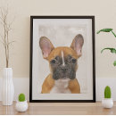 Search for bulldog lovers posters Animal lover