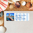 Search for pelican return address labels Bird