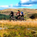 Search for mountain bike cards Sport